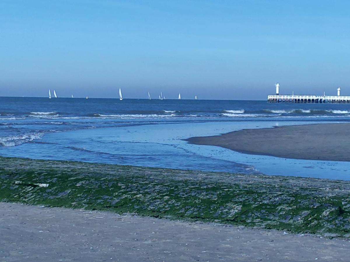 Studio Havenzicht Nieuwpoort Exterior foto